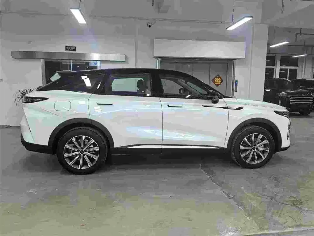 Exeed Yaoguang C-DM — фото 4