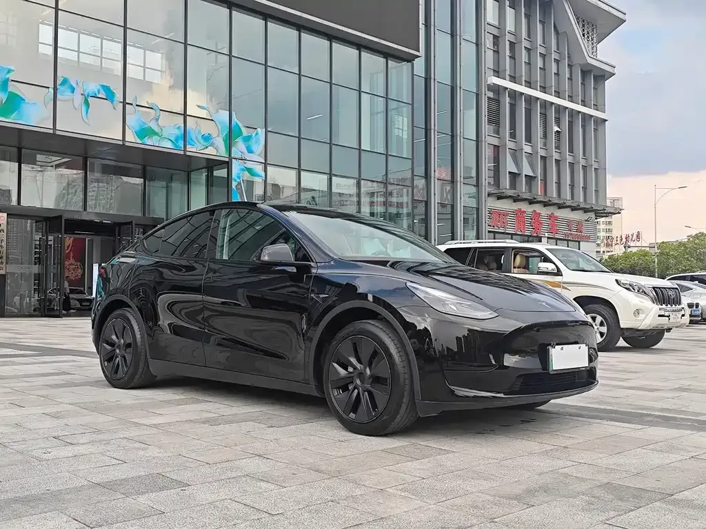Tesla Model Y — фото 4