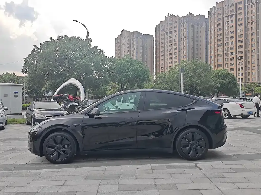 Tesla Model Y — фото 3