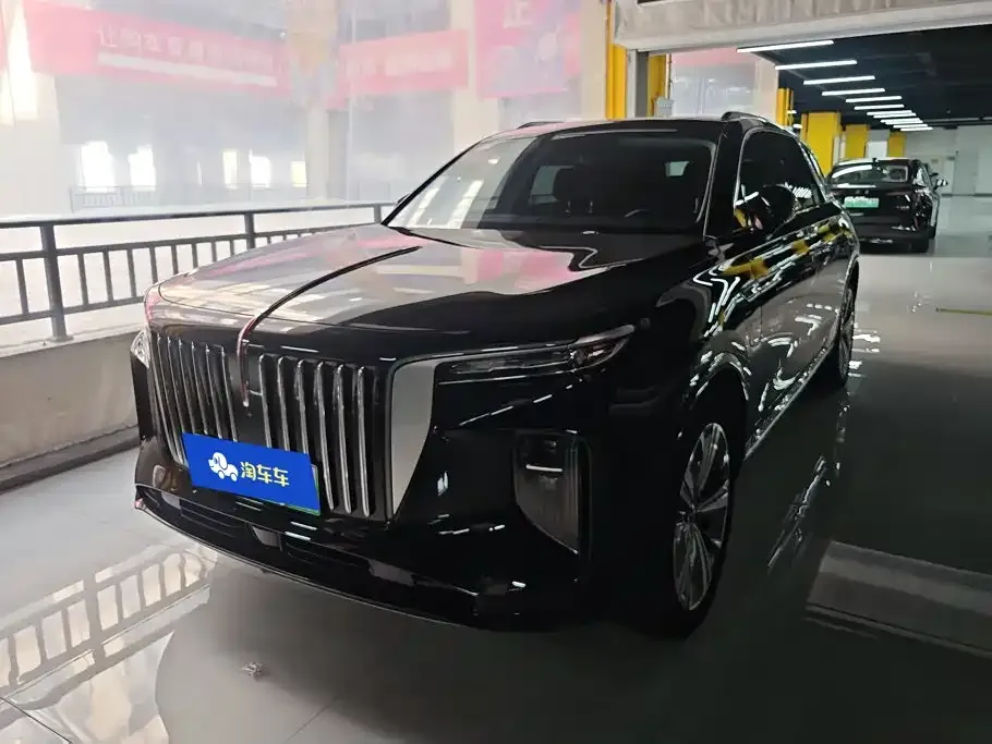 Hongqi E-HS9 — фото 8