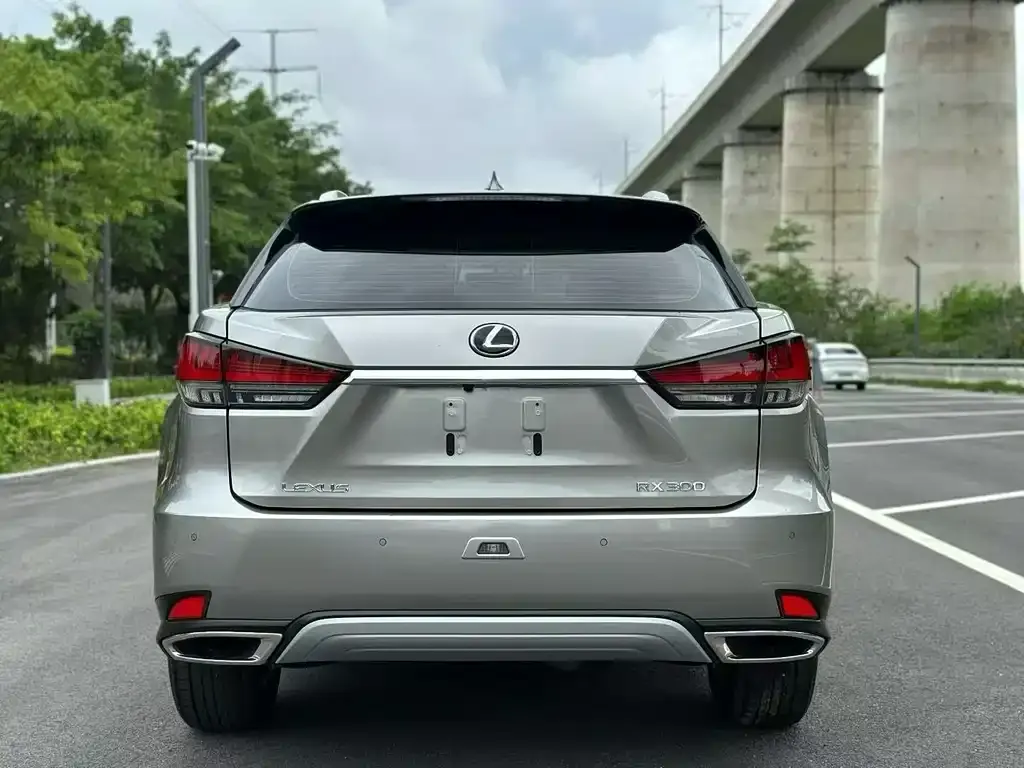 Lexus RX — фото 4