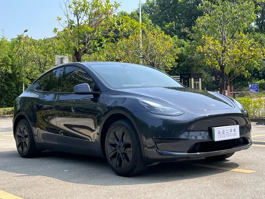Tesla Model Y — фото 8