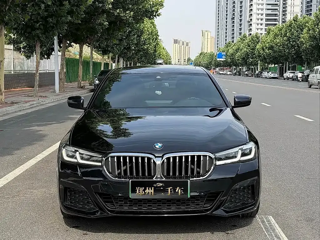 BMW 5 Series New Energy — фото 10