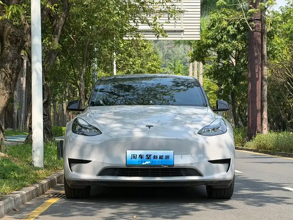 Tesla Model Y — фото 6