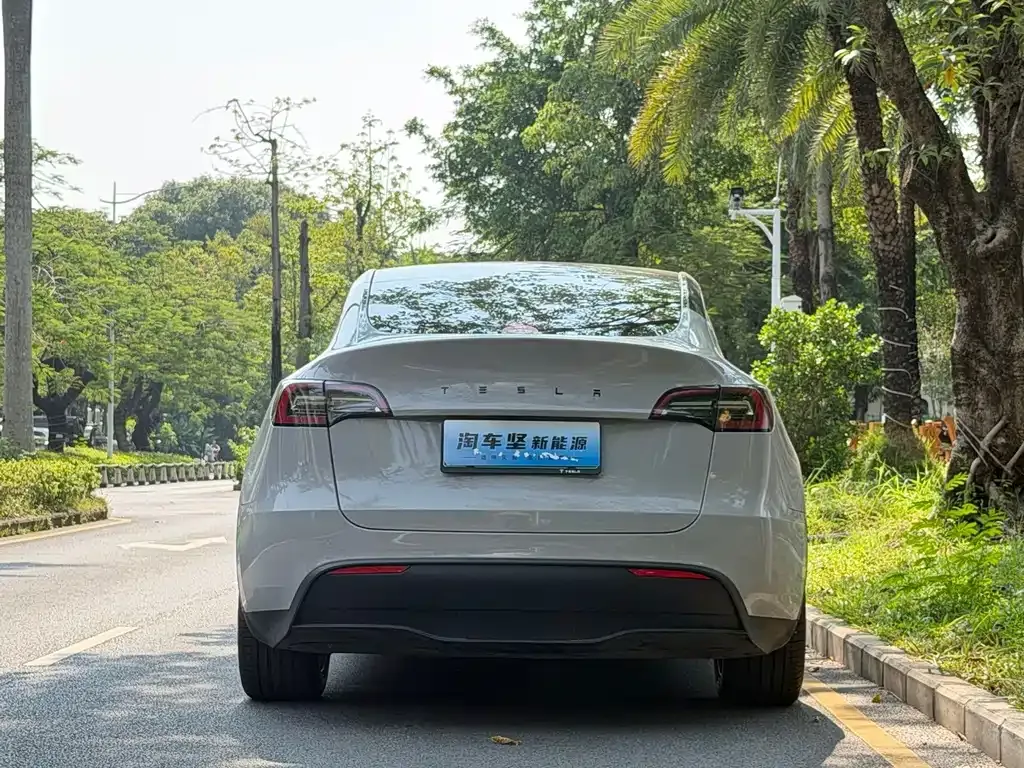 Tesla Model Y — фото 8