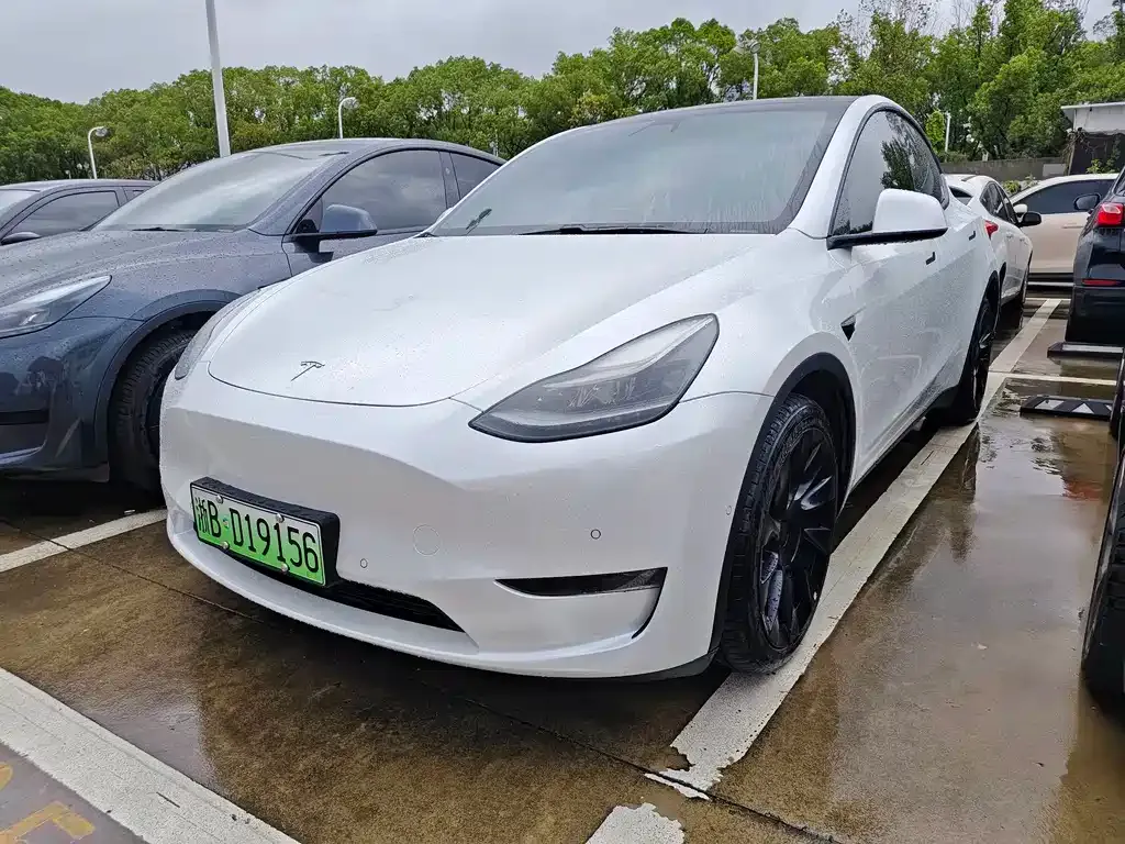 Tesla Model Y — фото 1