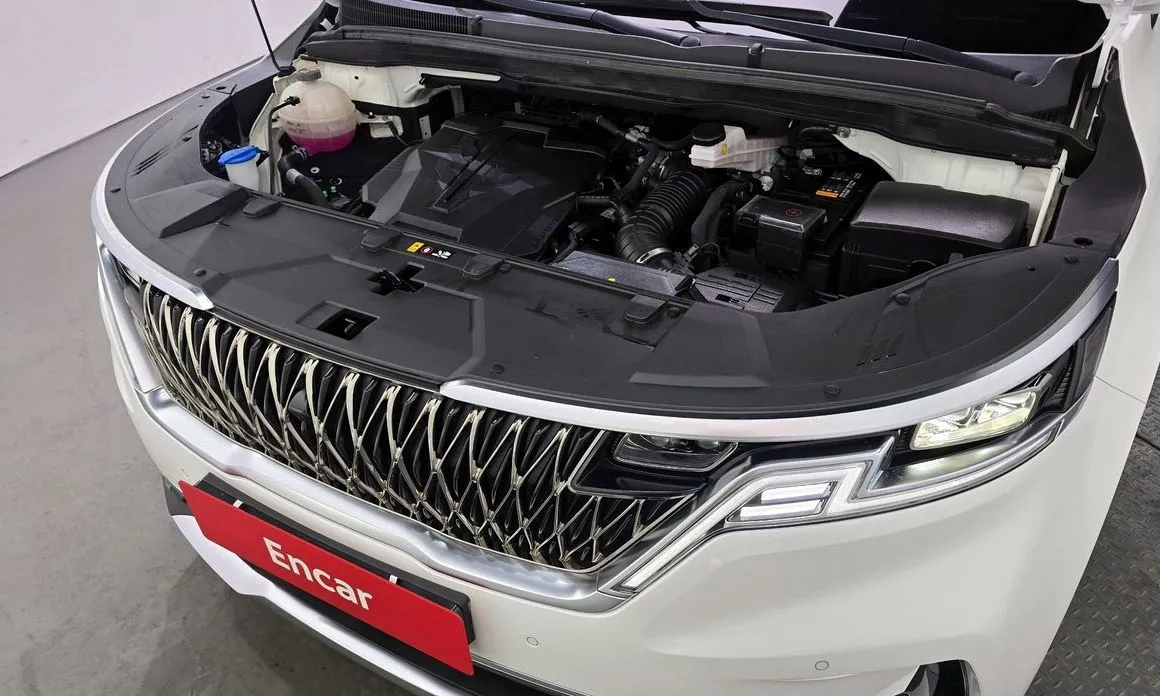 Kia Carnival — фото 10