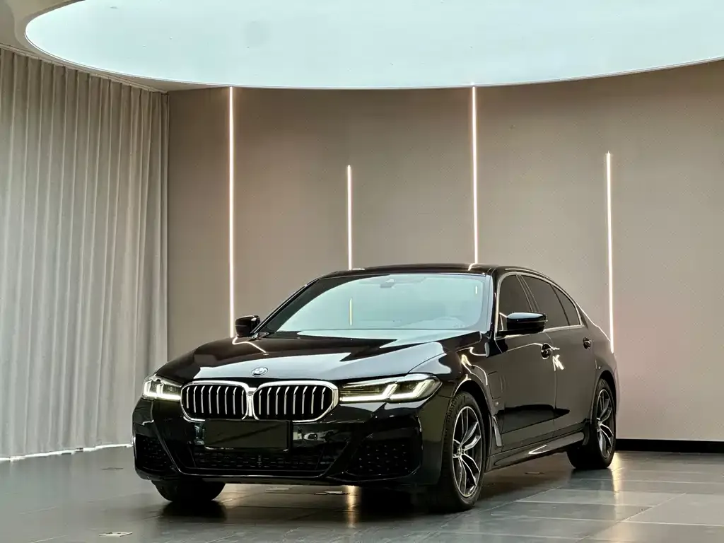 BMW 5 Series New Energy — фото 1