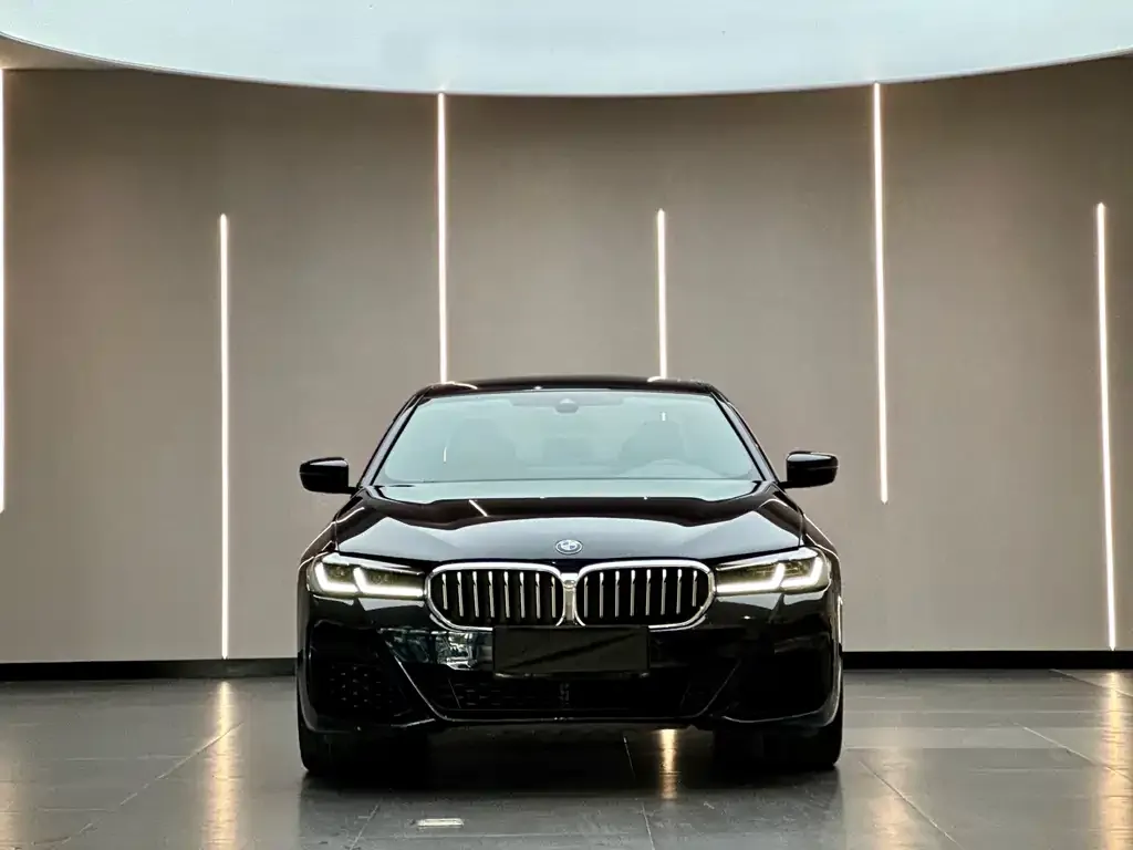 BMW 5 Series New Energy — фото 9