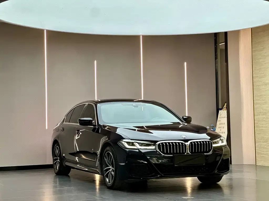 BMW 5 Series New Energy — фото 10