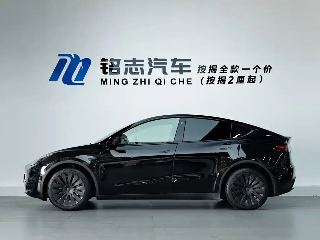 Tesla Model Y — фото 10