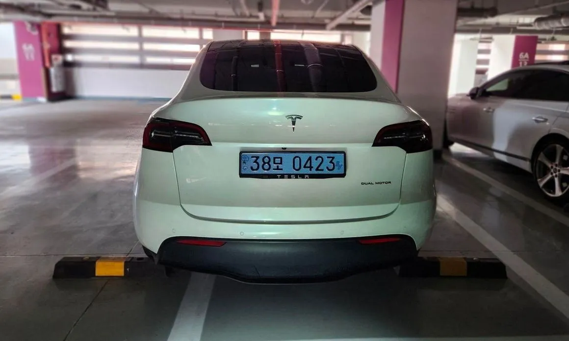 Tesla Model Y — фото 4