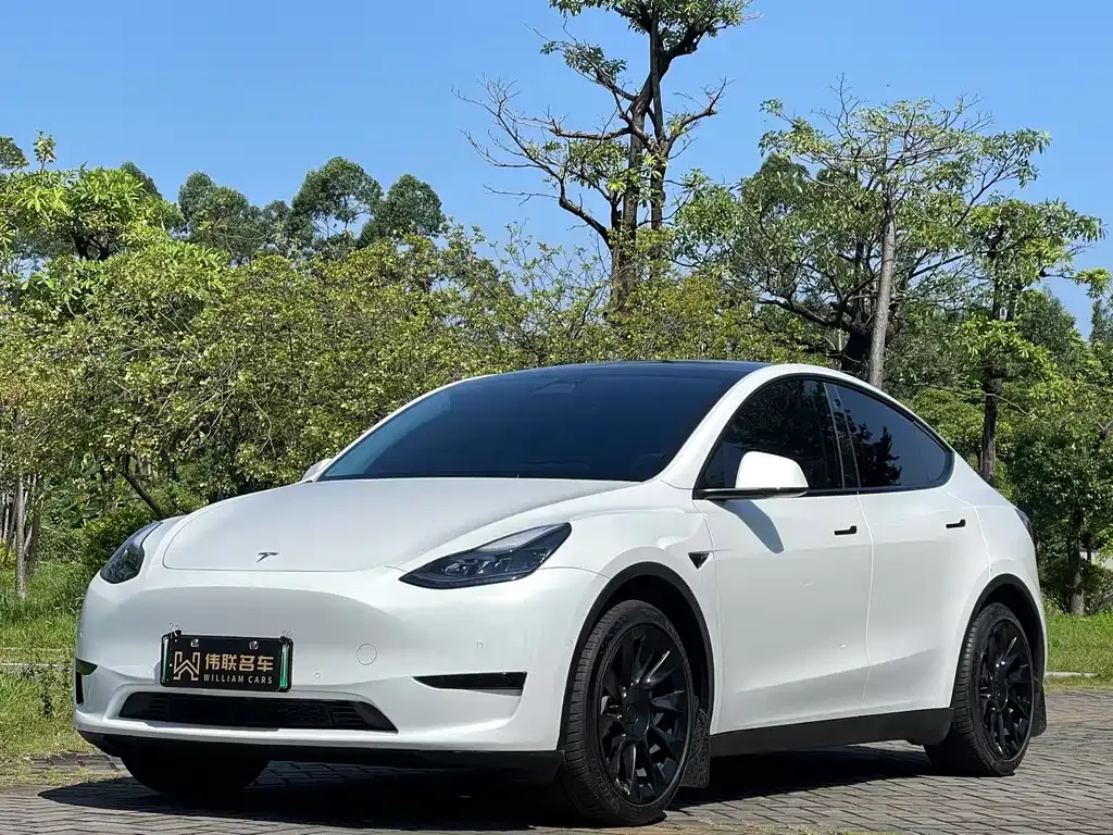 Tesla Model Y — фото 1