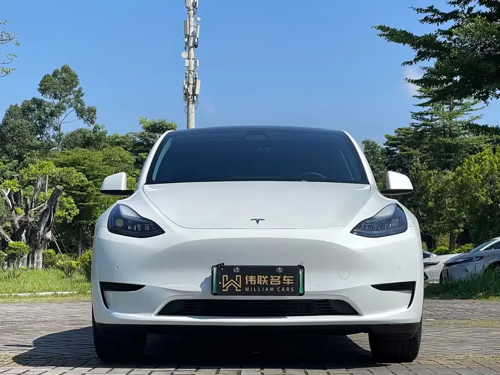 Tesla Model Y — фото 5