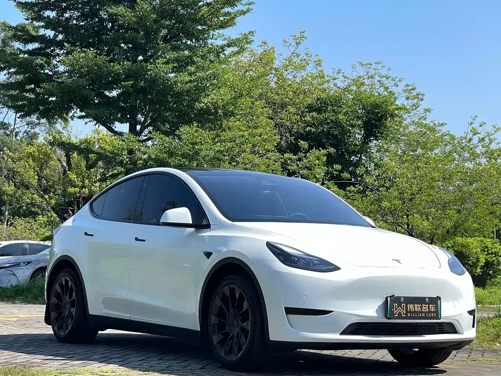 Tesla Model Y — фото 10