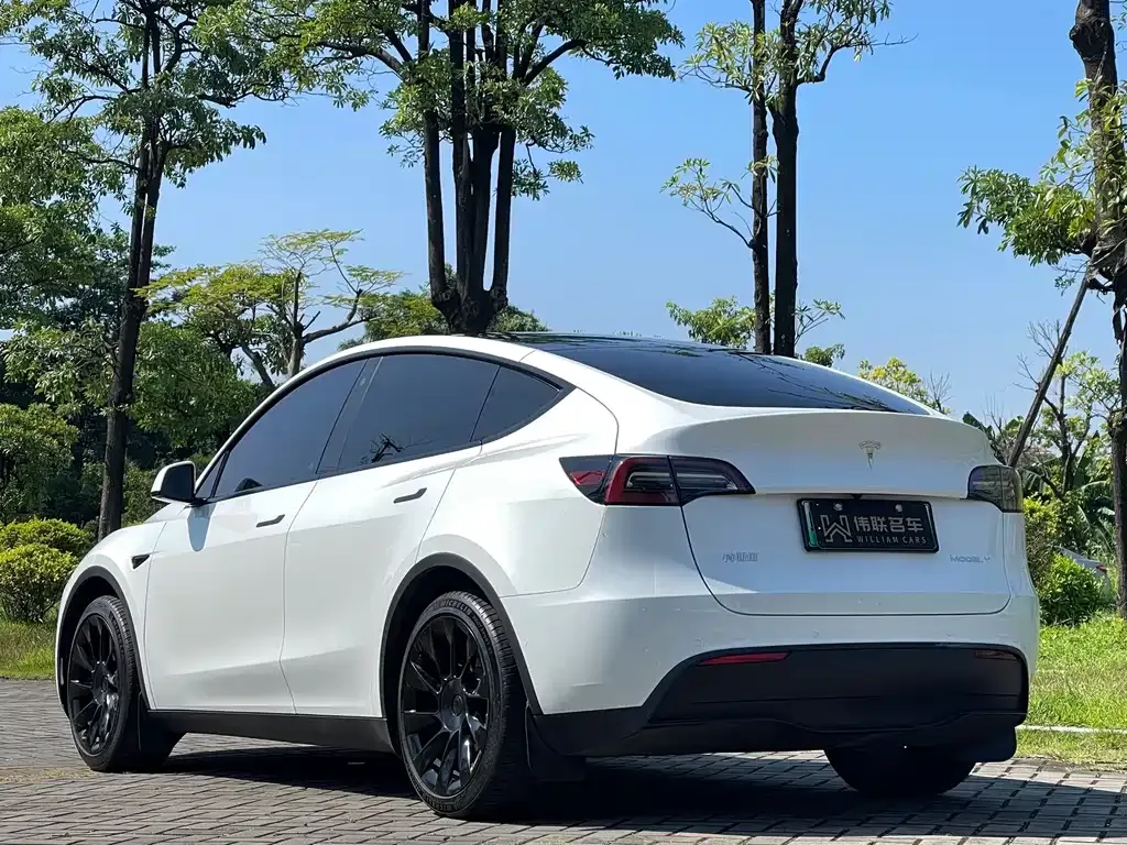 Tesla Model Y — фото 9