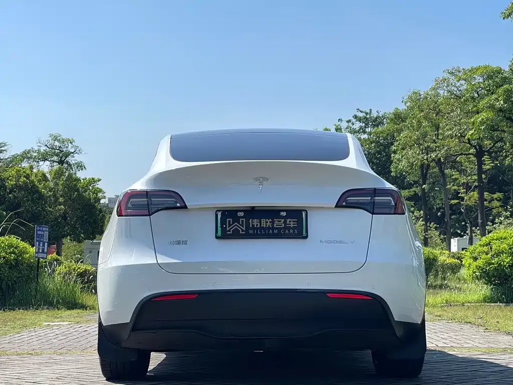 Tesla Model Y — фото 7