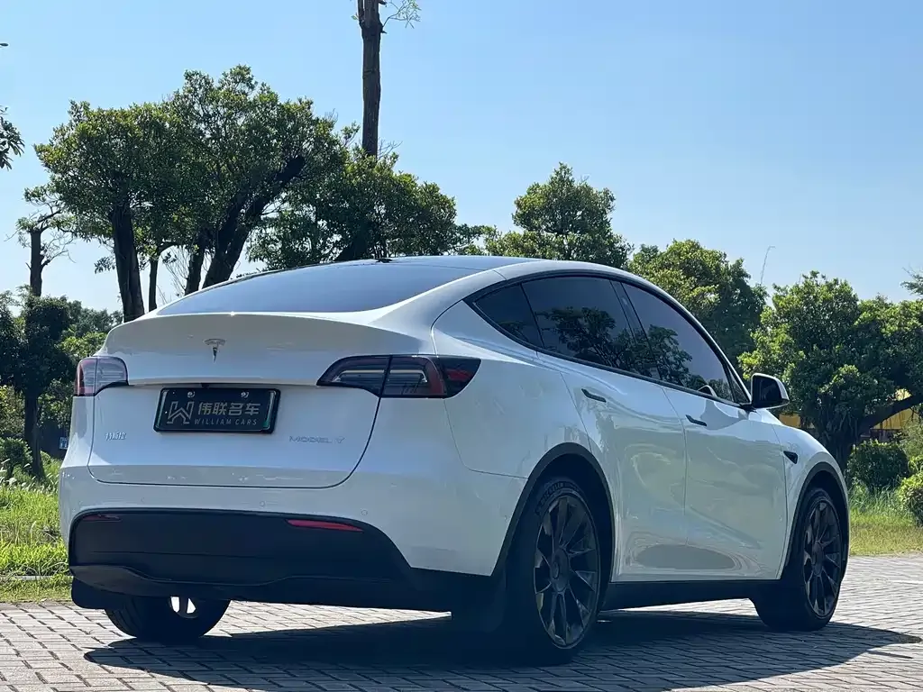 Tesla Model Y — фото 4