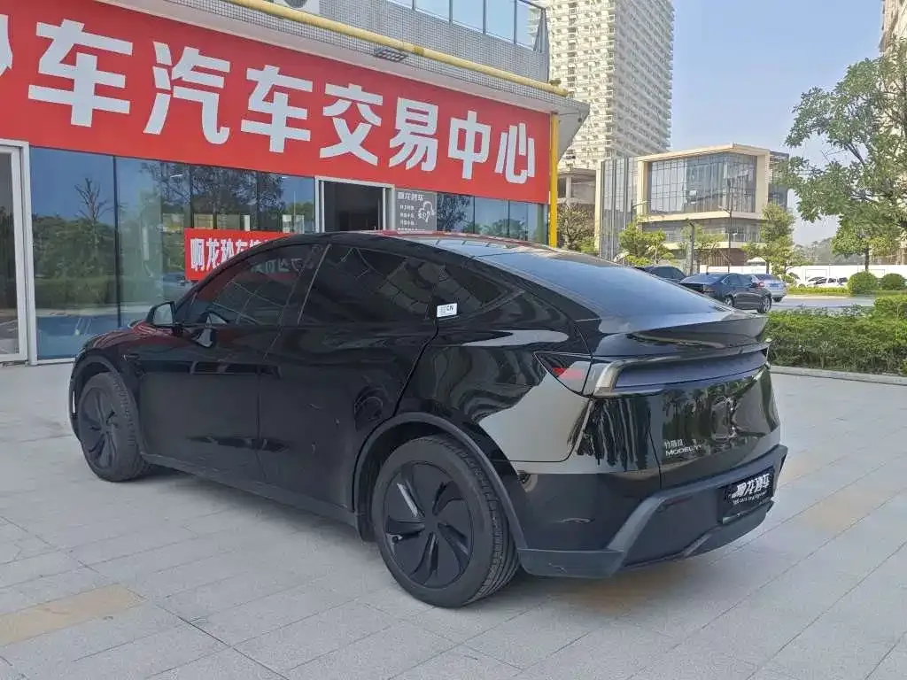 Tesla Model Y — фото 9