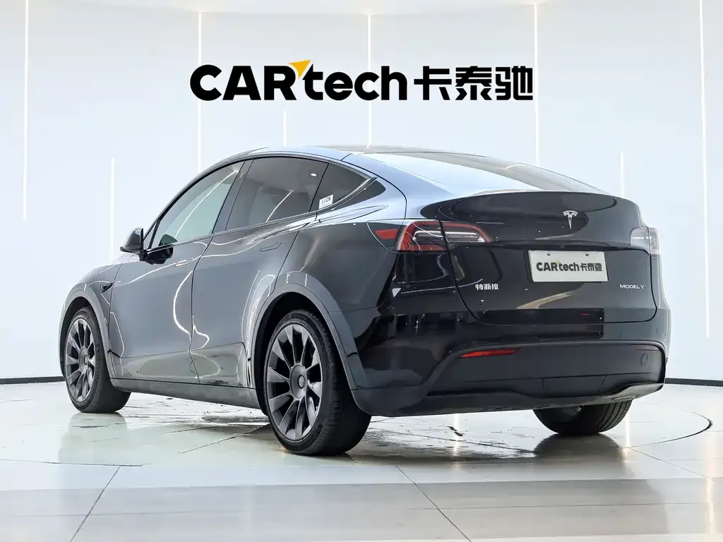 Tesla Model Y — фото 10