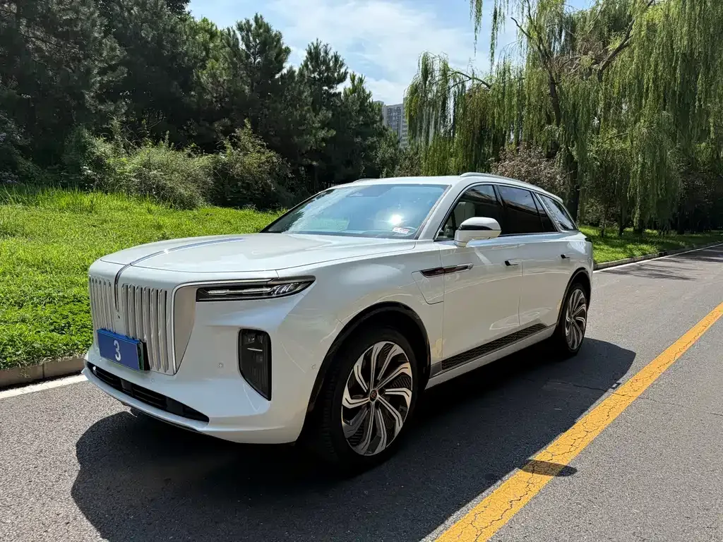 Hongqi E-HS9 — фото 1
