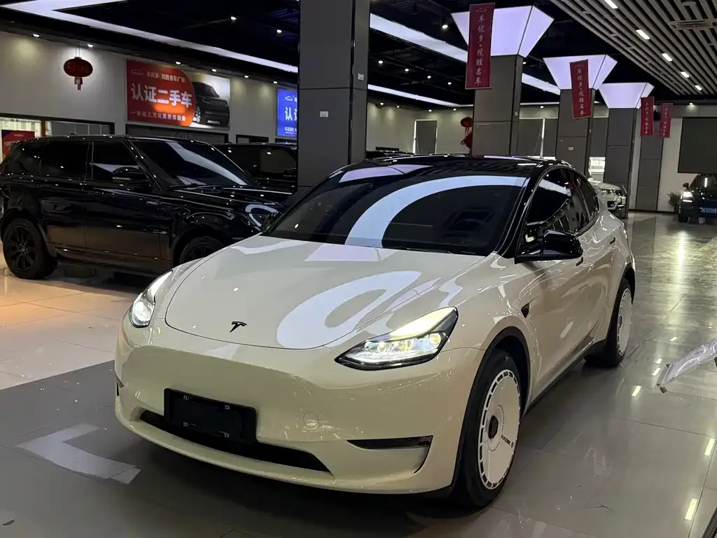 Tesla Model Y — фото 1