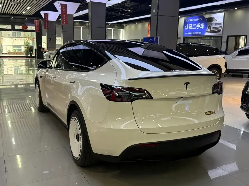 Tesla Model Y — фото 3
