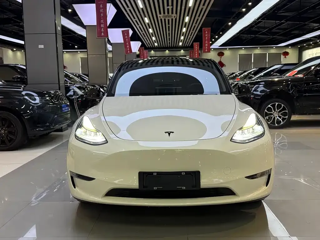 Tesla Model Y — фото 10