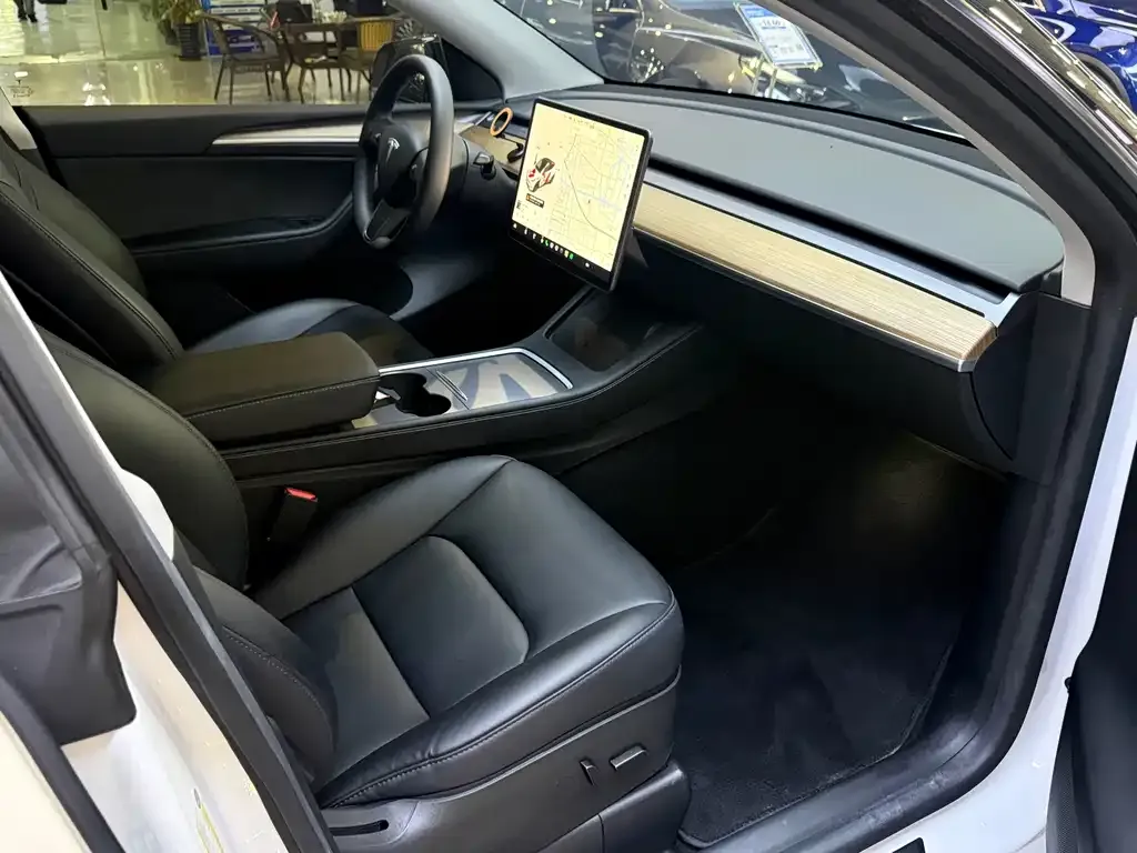 Tesla Model Y — фото 5