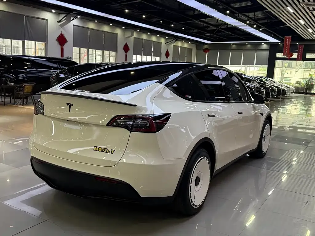 Tesla Model Y — фото 4