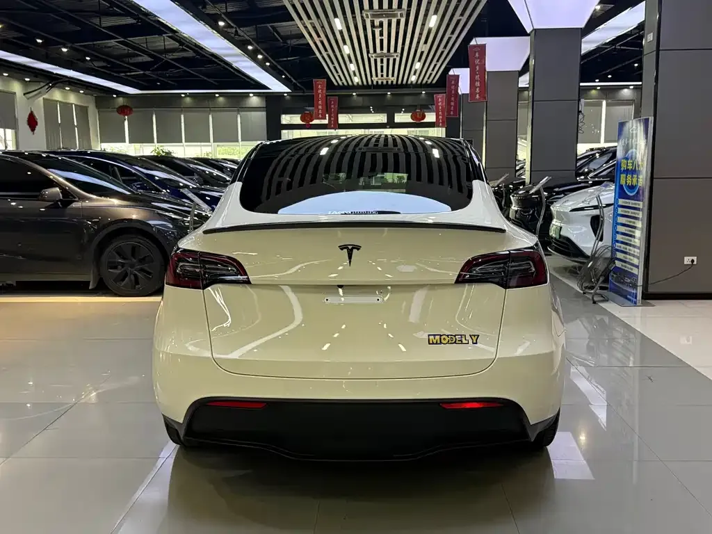 Tesla Model Y — фото 9