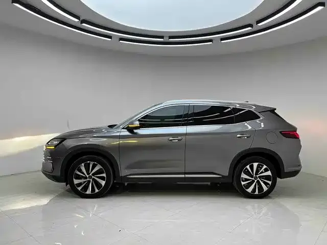 BYD PLUS New Energy — фото 4