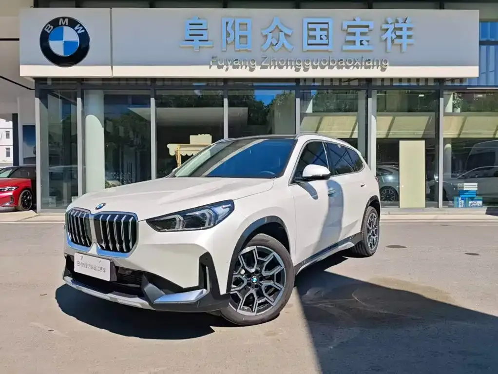 BMW X1 — фото 1