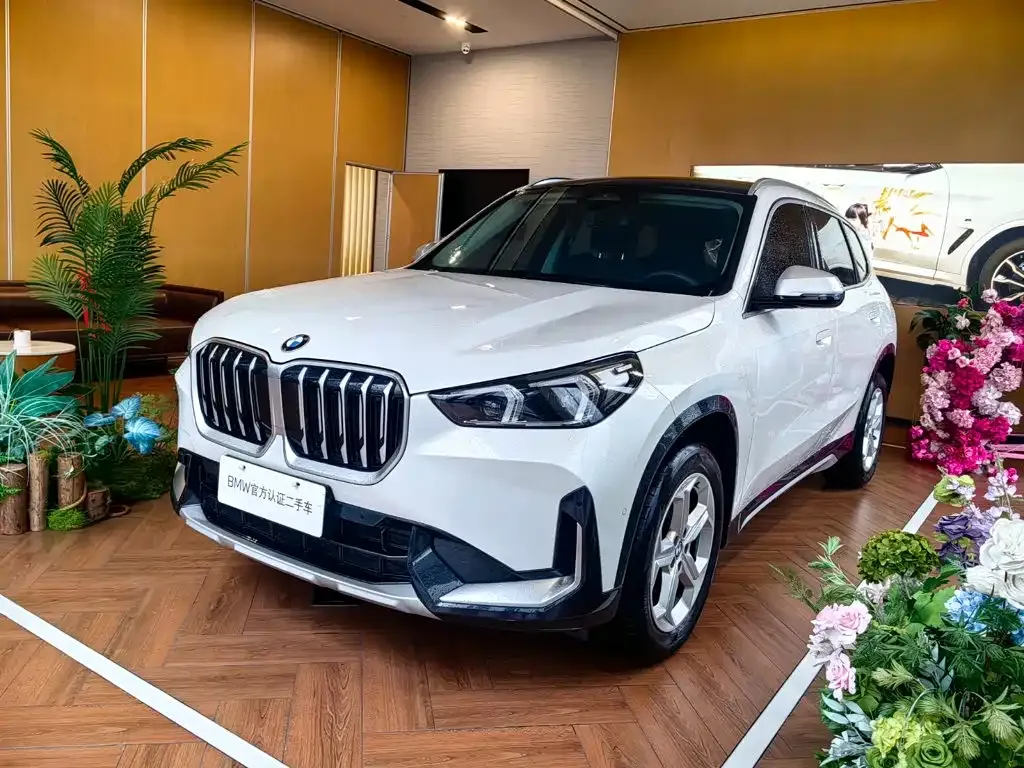 BMW X1 — фото 1