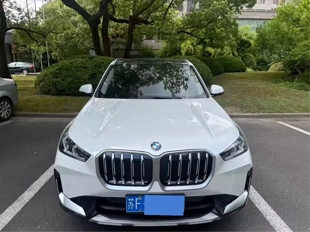 BMW X1 — фото 1