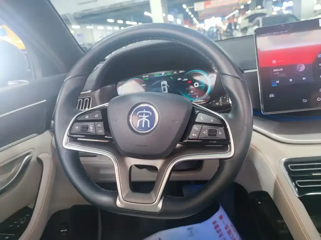 BYD PLUS New Energy — фото 10