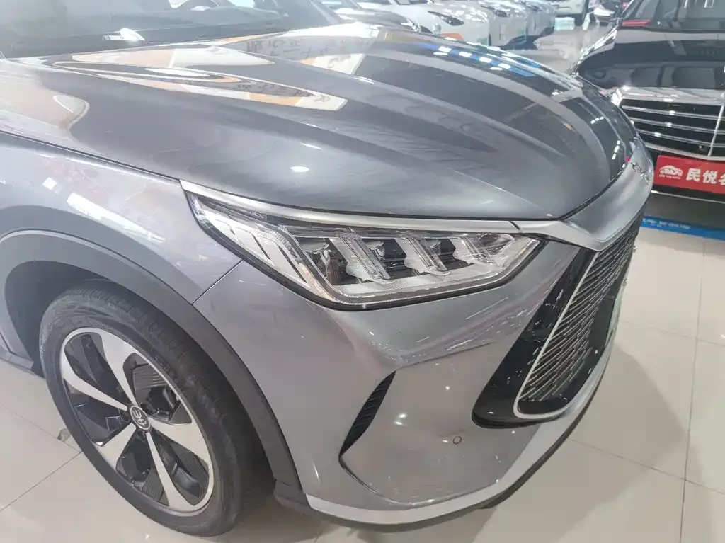 BYD PLUS New Energy — фото 6