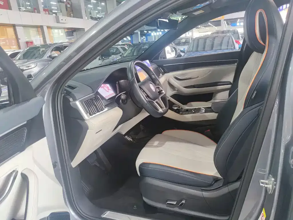 BYD PLUS New Energy — фото 5