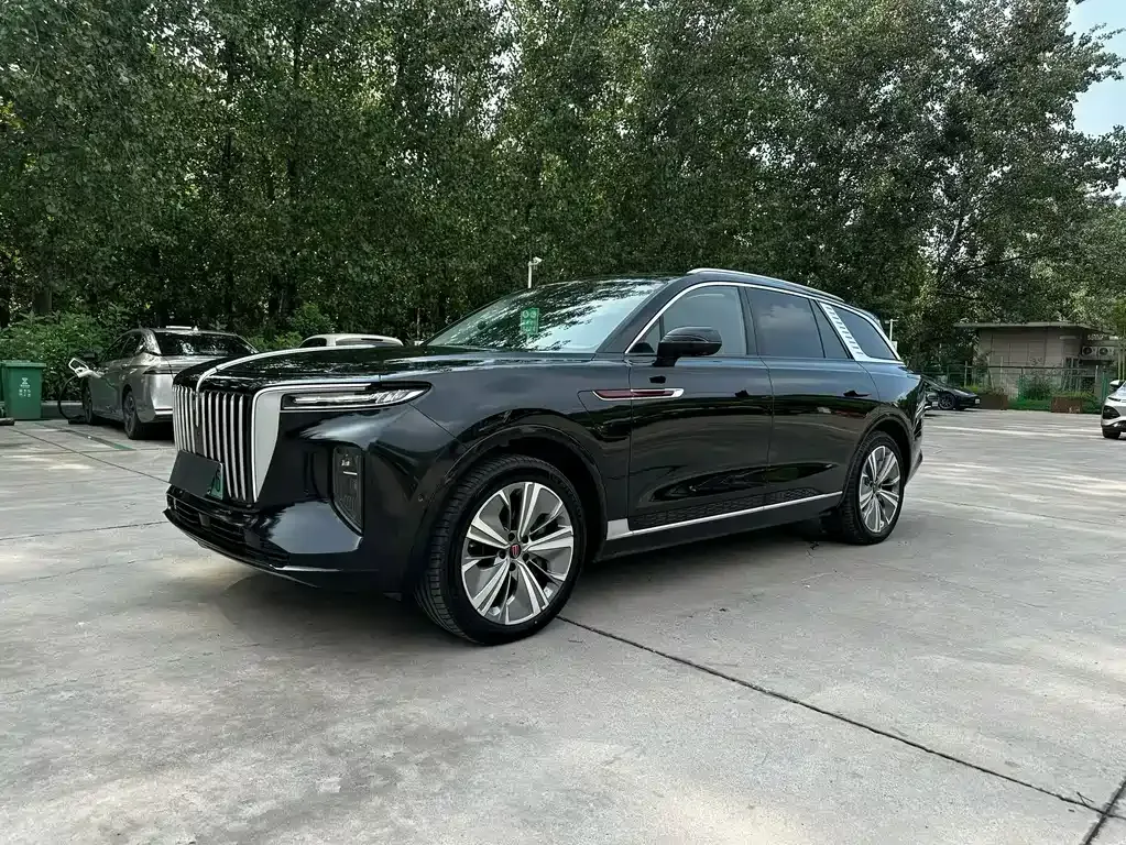 Hongqi E-HS9 — фото 1