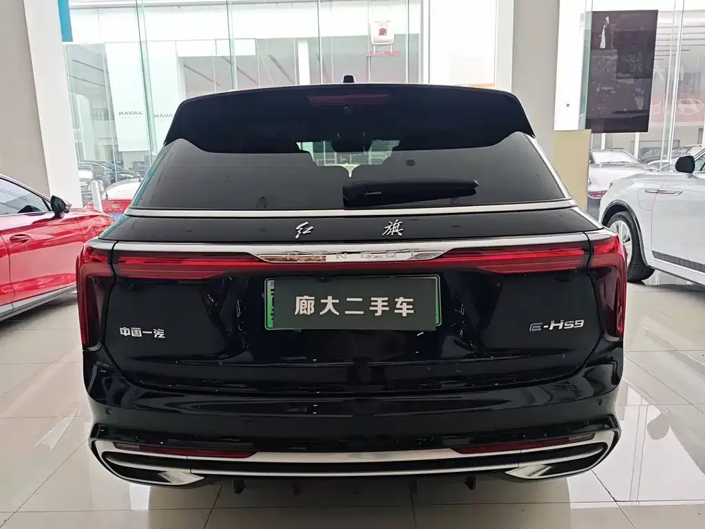 Hongqi E-HS9 — фото 6