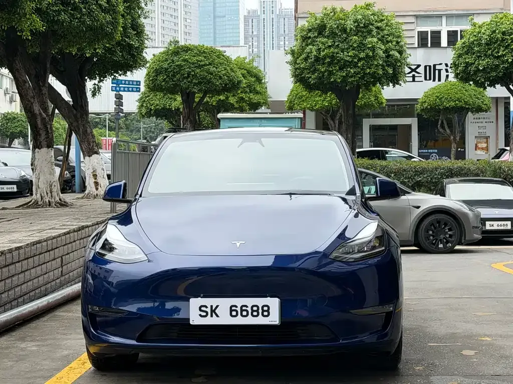 Tesla Model Y — фото 10