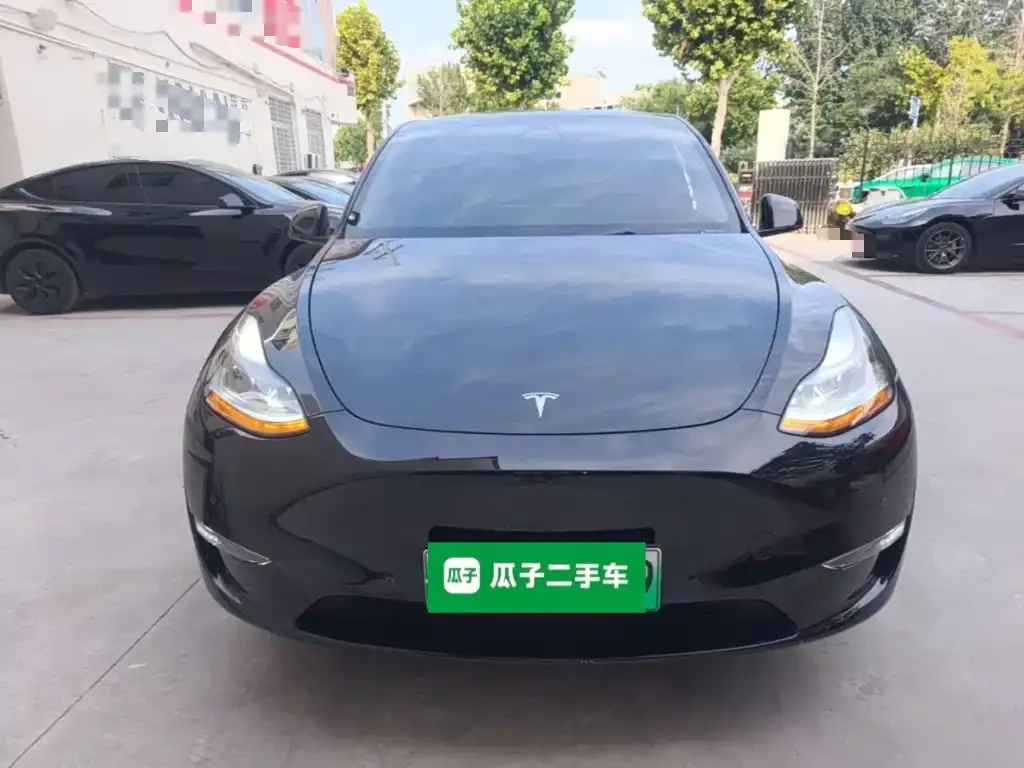 Tesla Model Y — фото 10