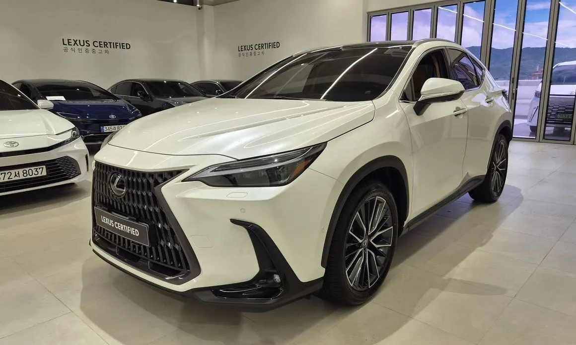 Lexus NX Luxury 1