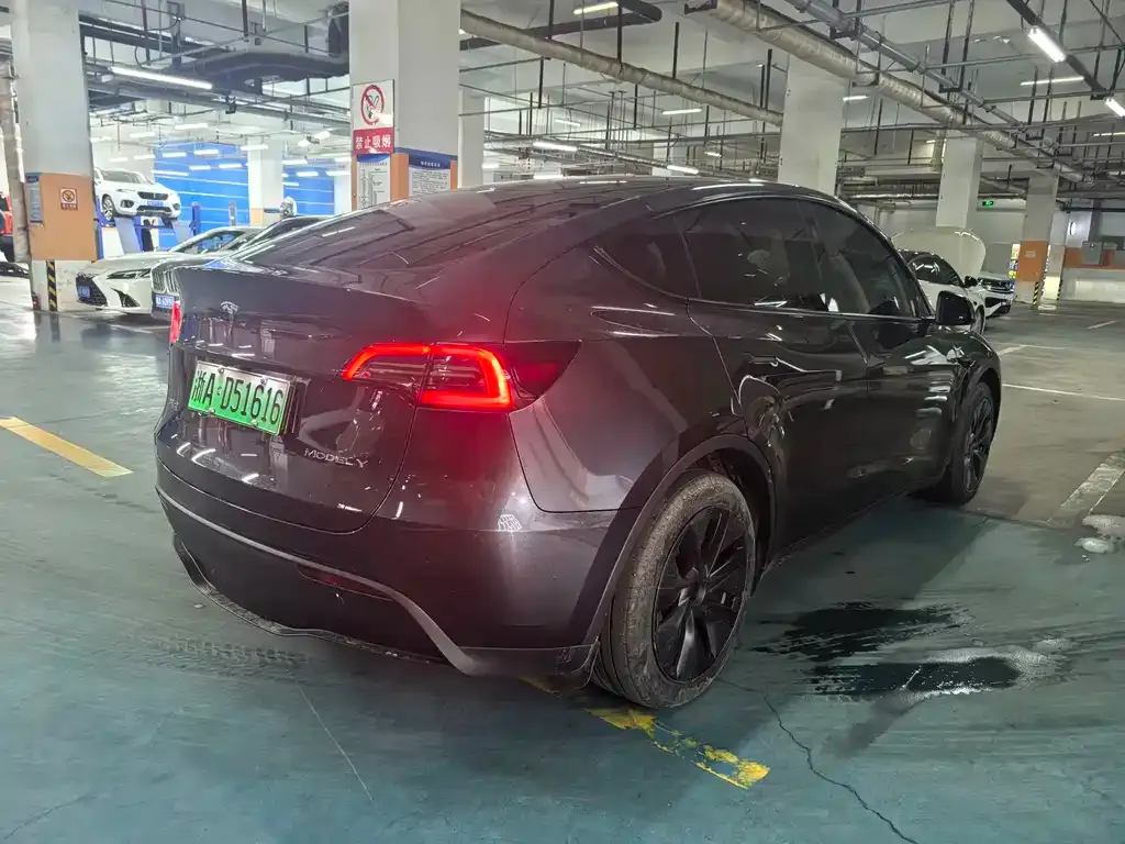 Tesla Model Y — фото 3