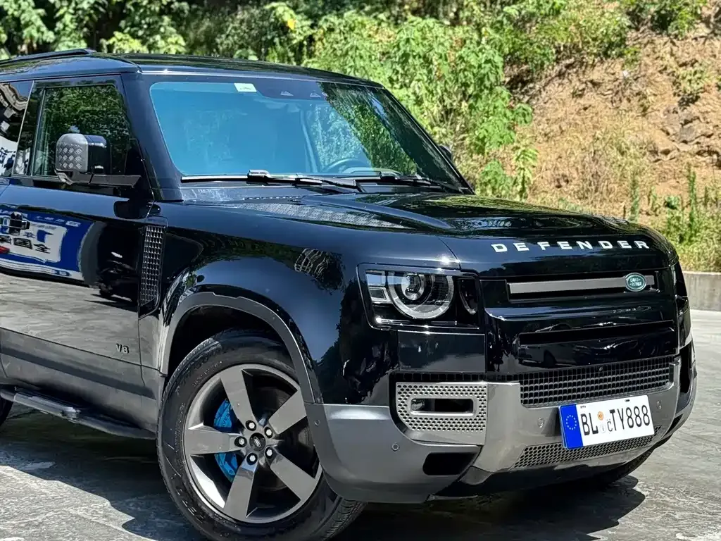 Land Rover Defender — фото 8