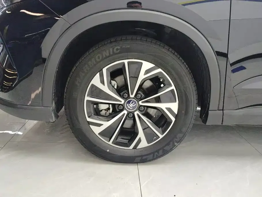 BYD Pro New Energy — фото 5