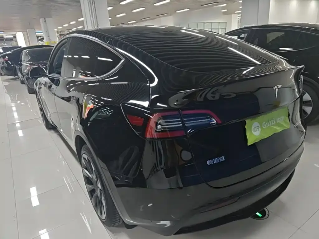 Tesla Model Y — фото 5