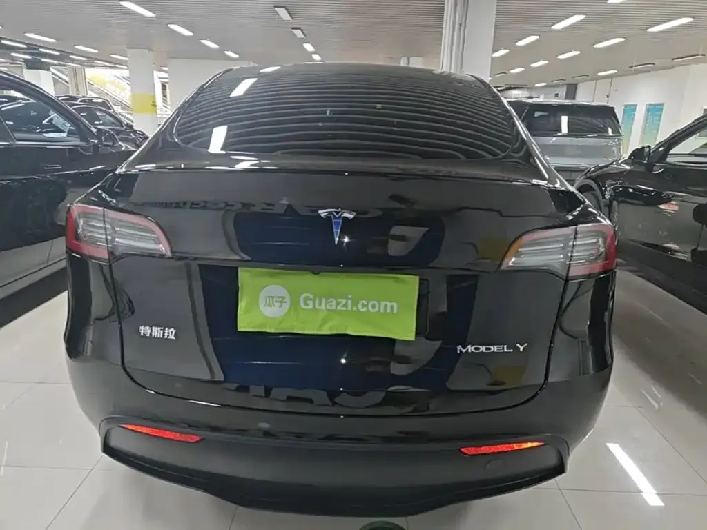 Tesla Model Y — фото 9