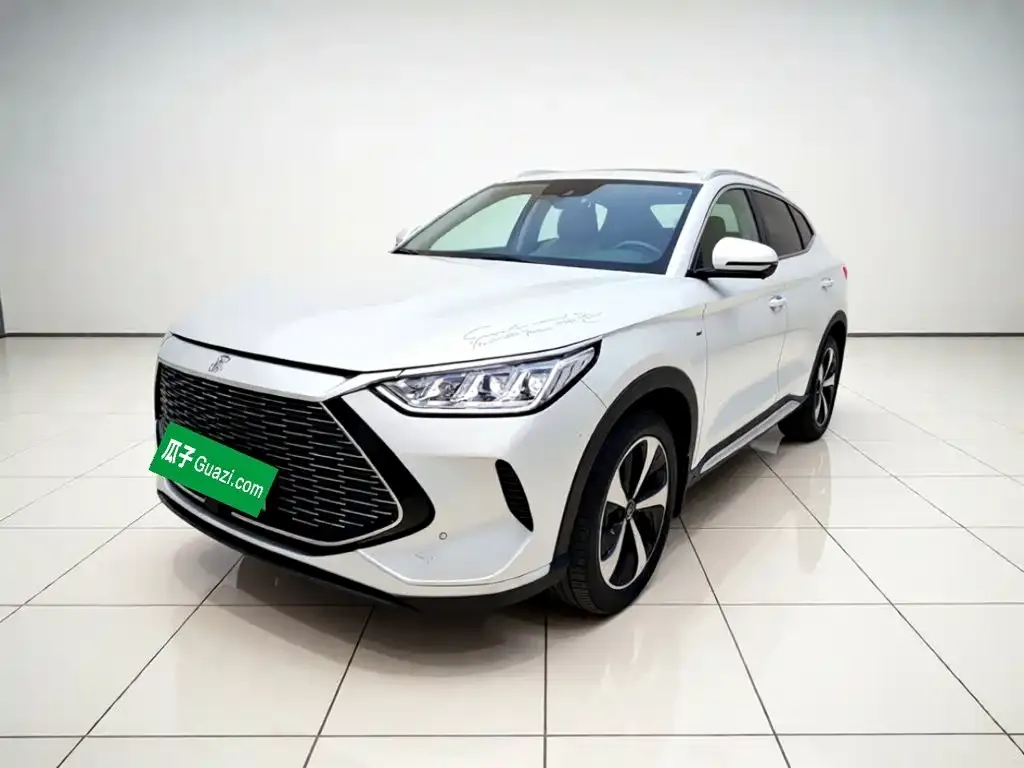 BYD PLUS New Energy — фото 1