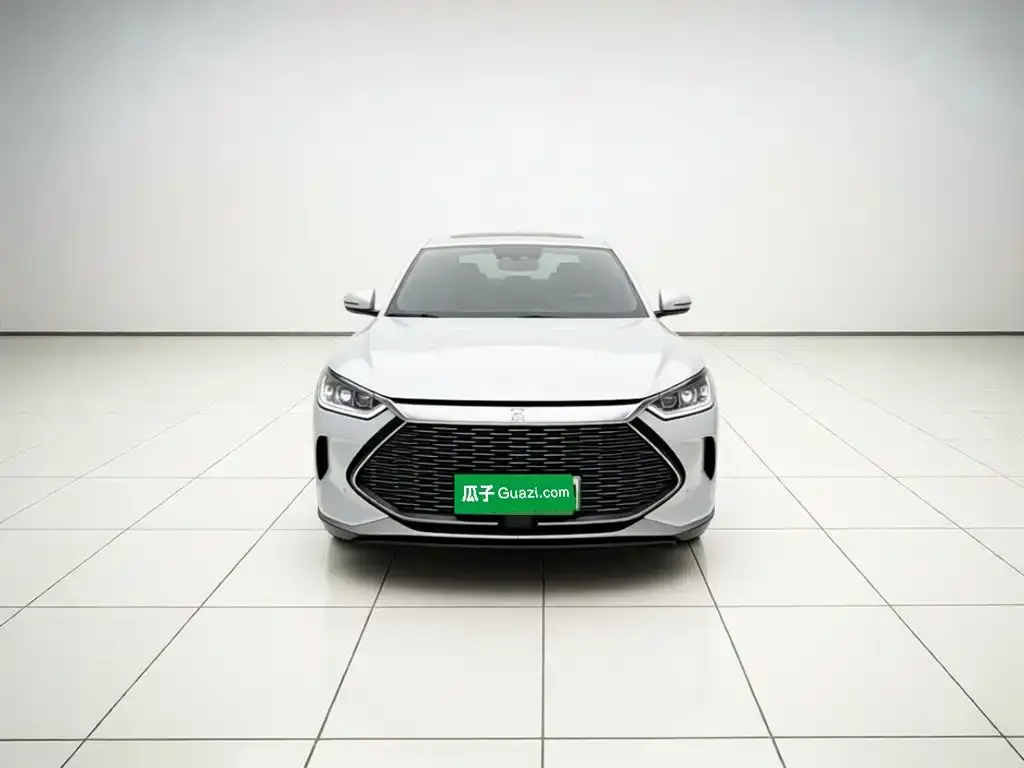 BYD PLUS New Energy — фото 2